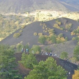 Escursione ai Monti Sartorius “La roccia è viva”